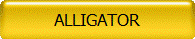 ALLIGATOR