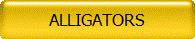 ALLIGATORS
