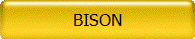 BISON