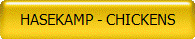 HASEKAMP - CHICKENS
