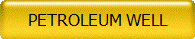PETROLEUM WELL