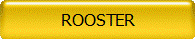 ROOSTER
