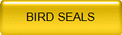 BIRD SEALS